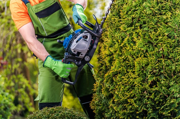 Bûcheron en forêt de feuillus, assis sur un tronc abattu, utilisant une tronçonneuse pour le débitage